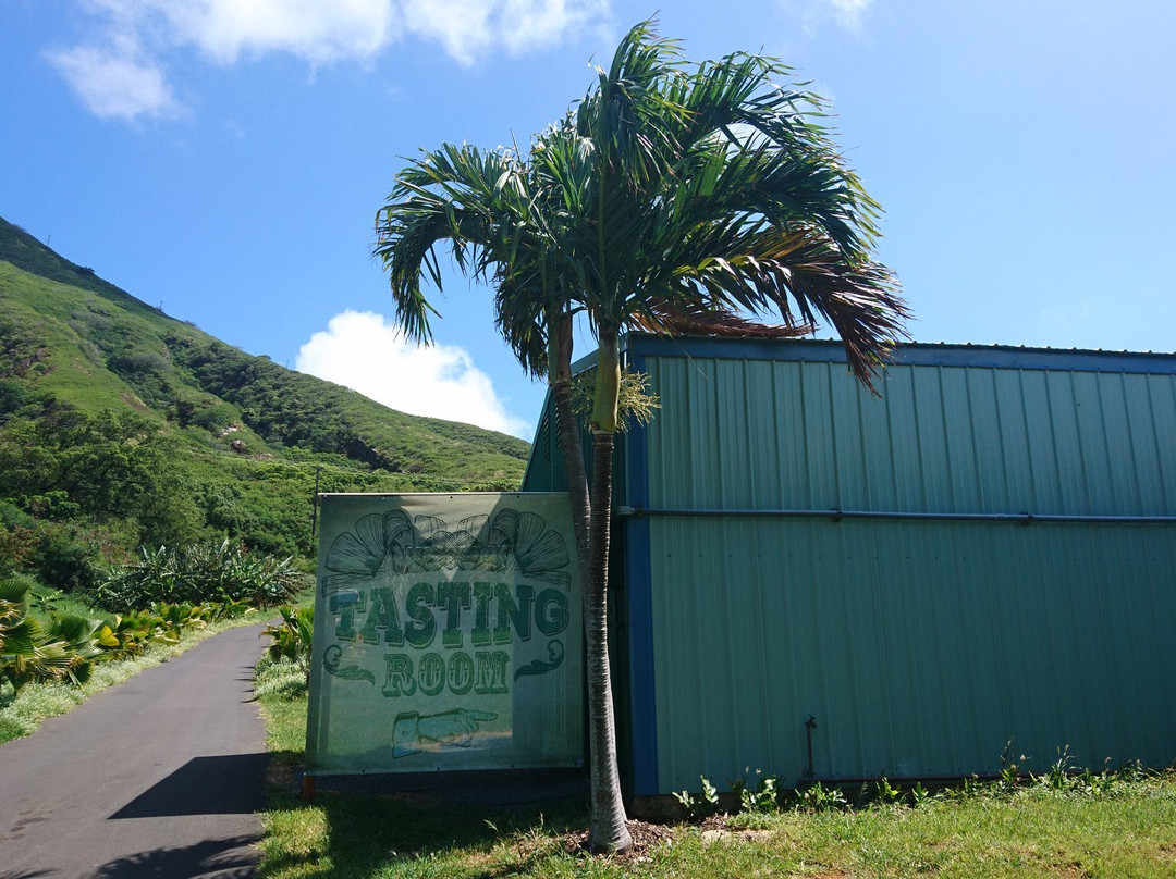 Island Distillers-火奴鲁鲁必去景点