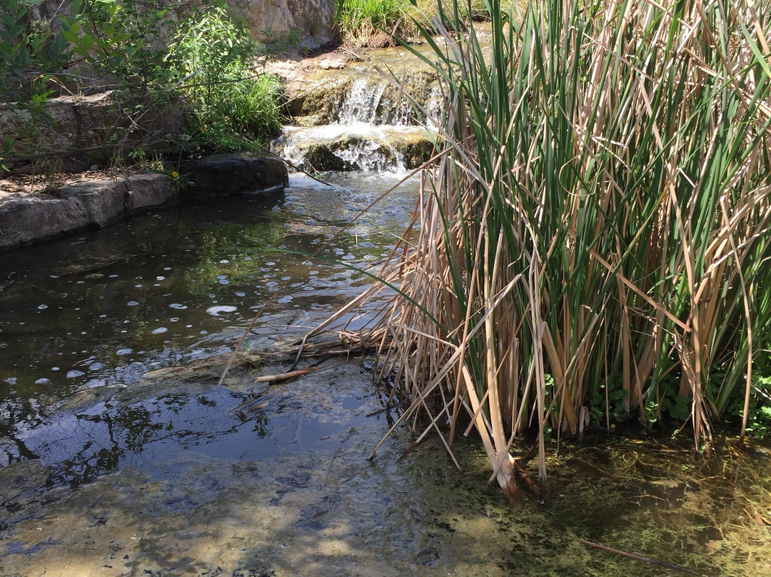 Boiling Springs State Park景点图片