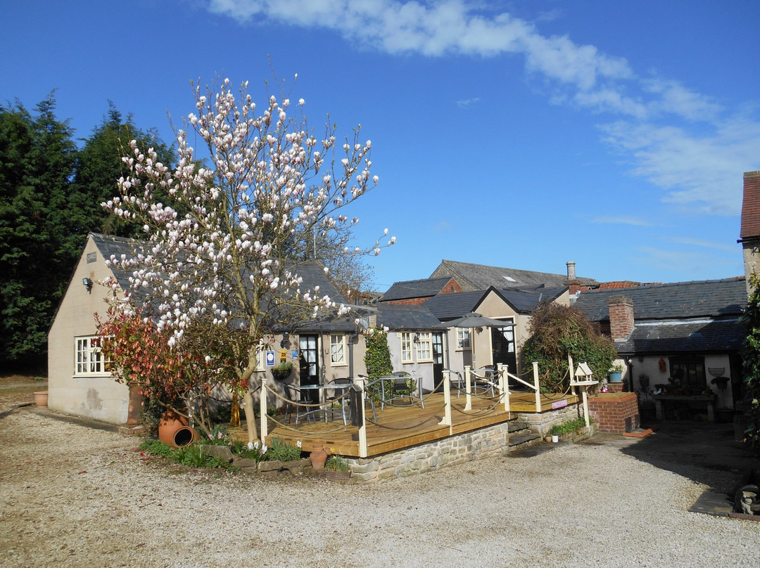 Brown's Old Orchard Cottage主图