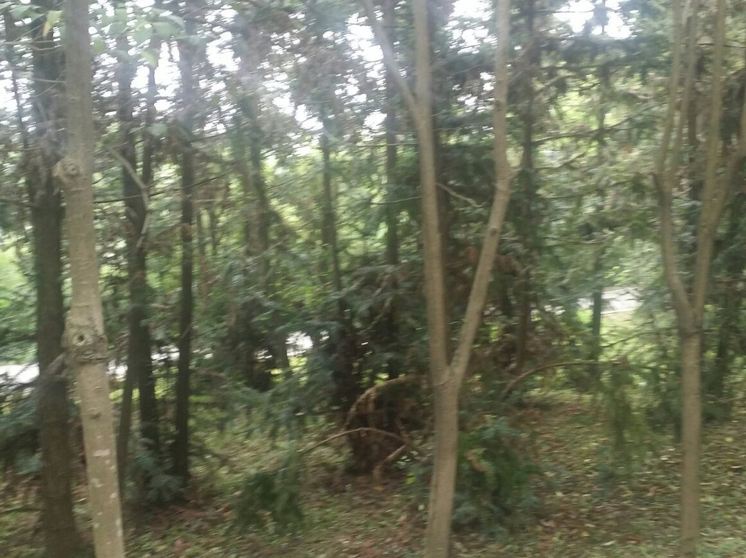 天生桥-溧水县必去景点