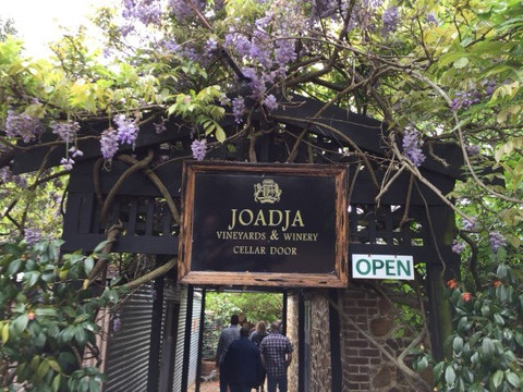 Kenny Escapes-悉尼必去景点