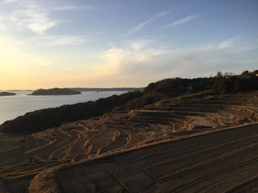 Doya Terraced Rice Field景点图片