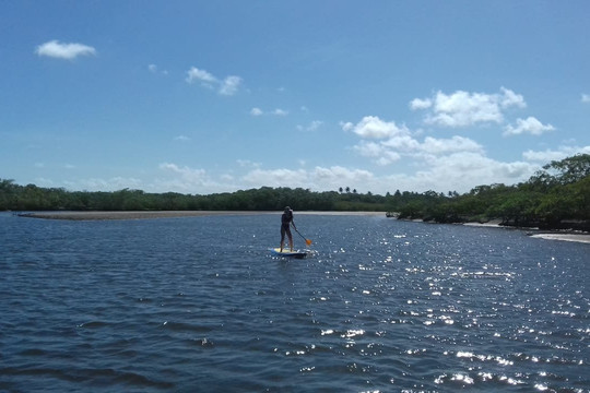 Experiencing Porto-嘎林海斯港必去景点