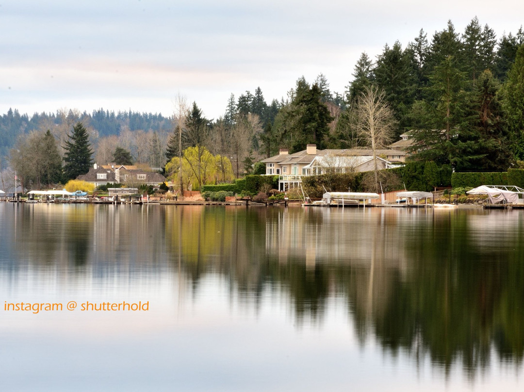 Idylwood Beach Park-雷德蒙德必去景点