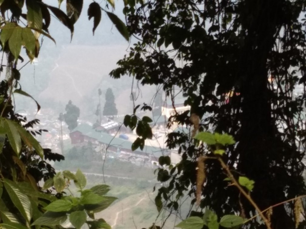 Shrubbery Nightingale Park-大吉岭必去景点