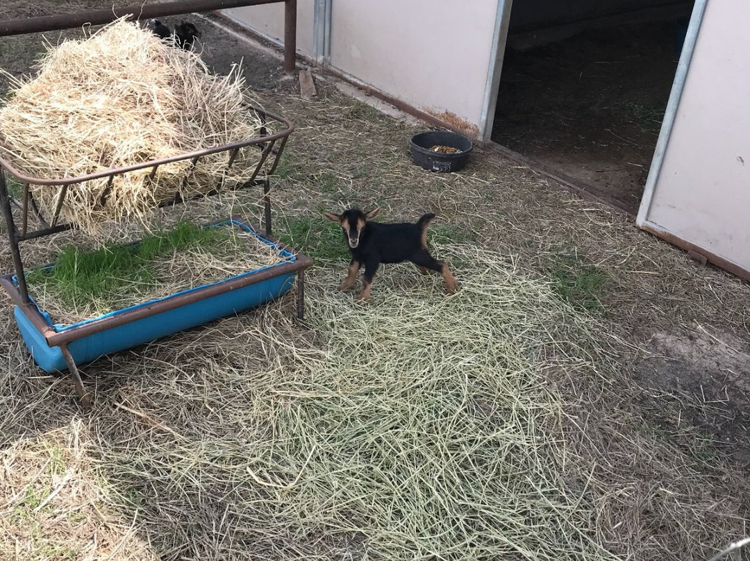 Caudalie Crest Winery-Celina必去景点