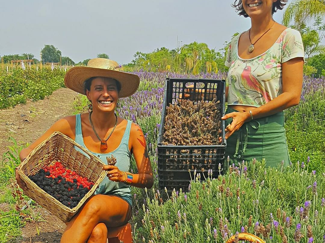 La Malanca Hotel & Spa主图