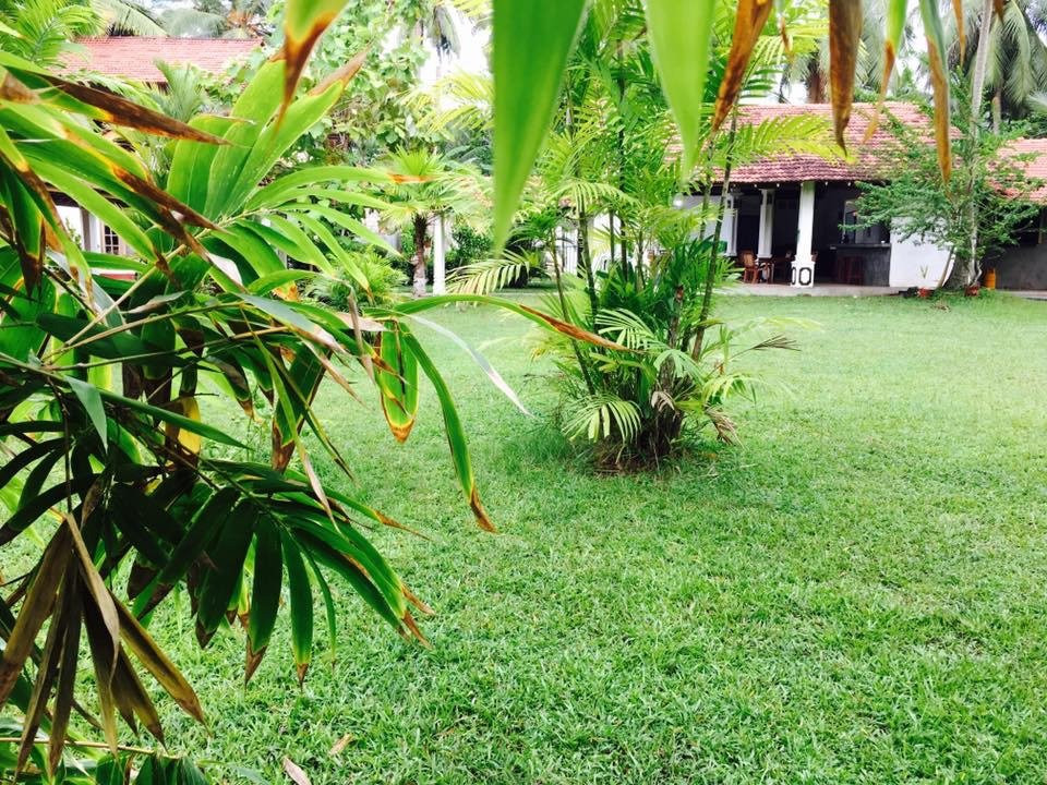 Sunny's Garden Hotel主图