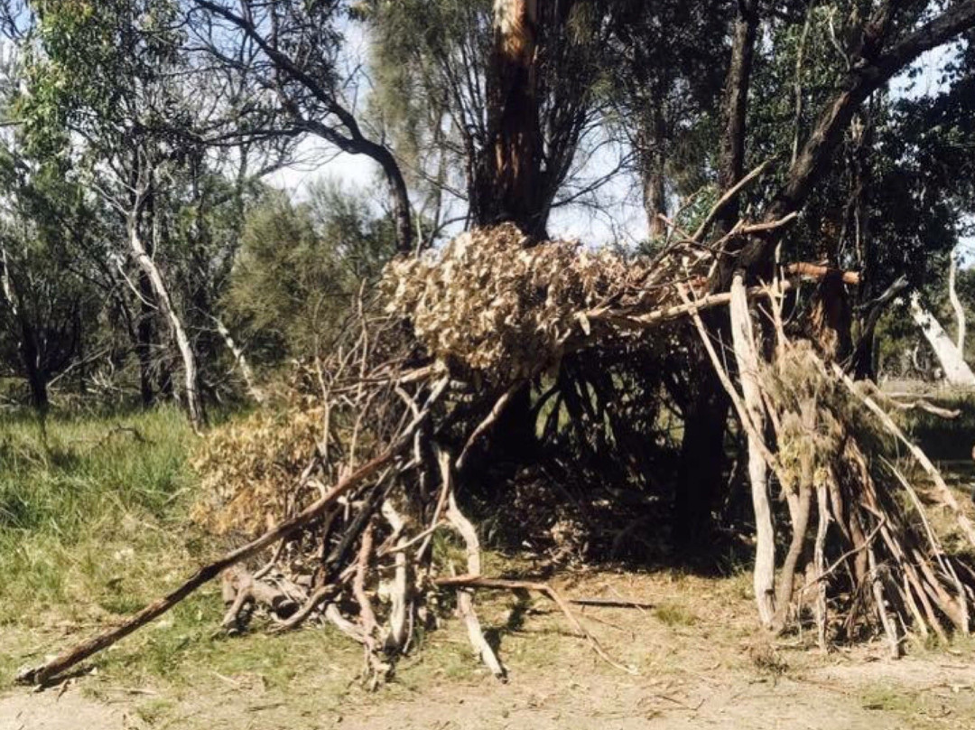 Ocean Grove Nature Reserve-Wallington必去景点