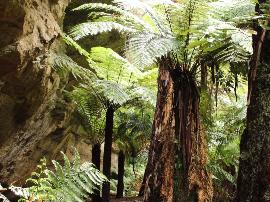 Wolgan Valley Eco Tours-Wolgan Valley必去景点