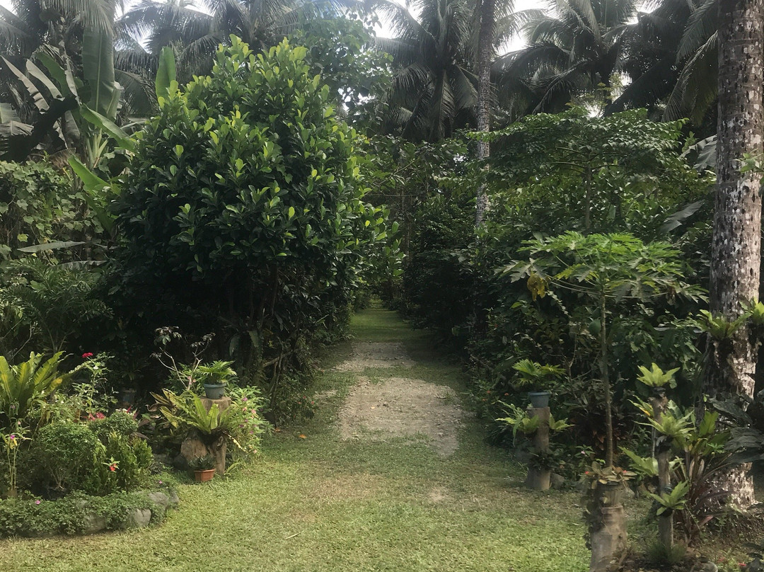 Carranglan旅游攻略图片