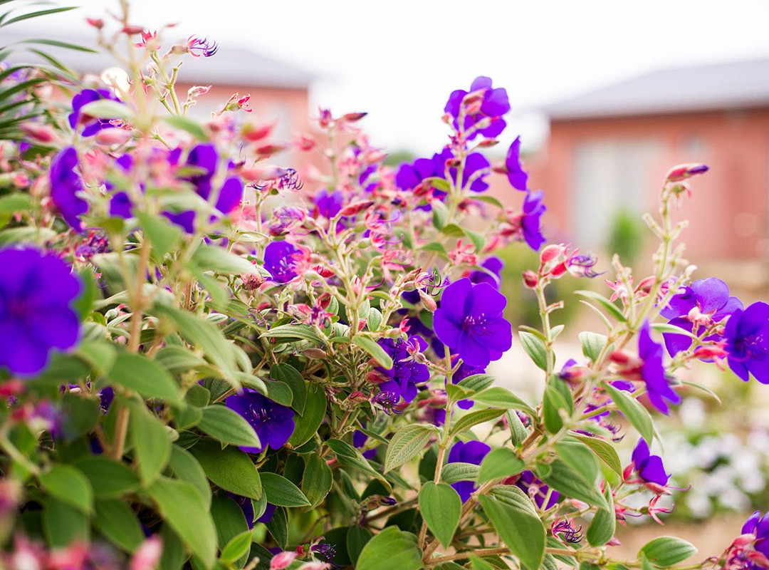 Fullmoon Paradise Lodge主图