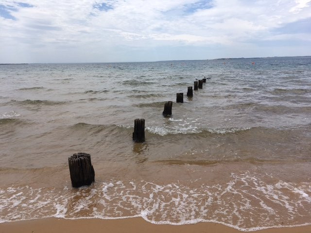 菲利普岛考拉哈舒适度假酒店主图