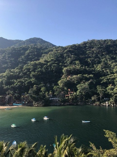 Villa Armonía Luxury Boutique主图