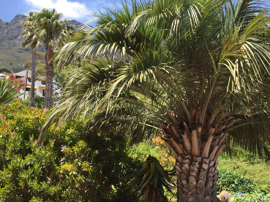 Bakoven酒店住宿-Heaven of Cape Town