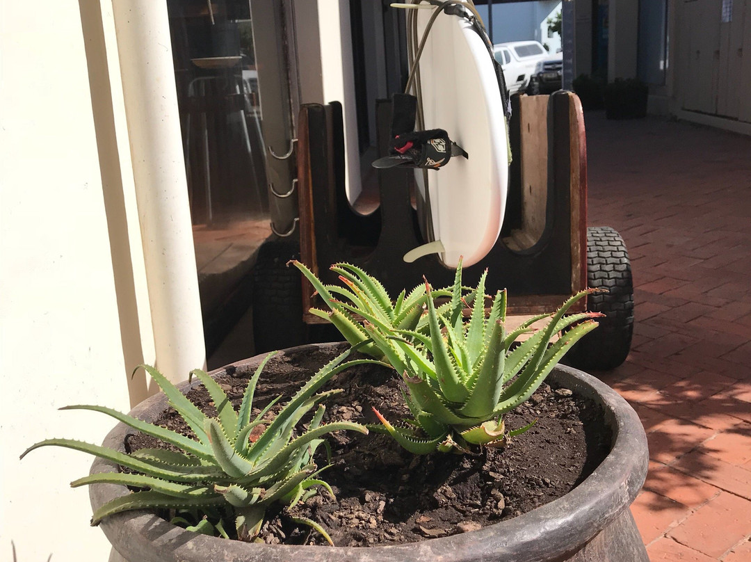 AfricaSUP Jeffreys Bay-杰佛瑞湾必去景点