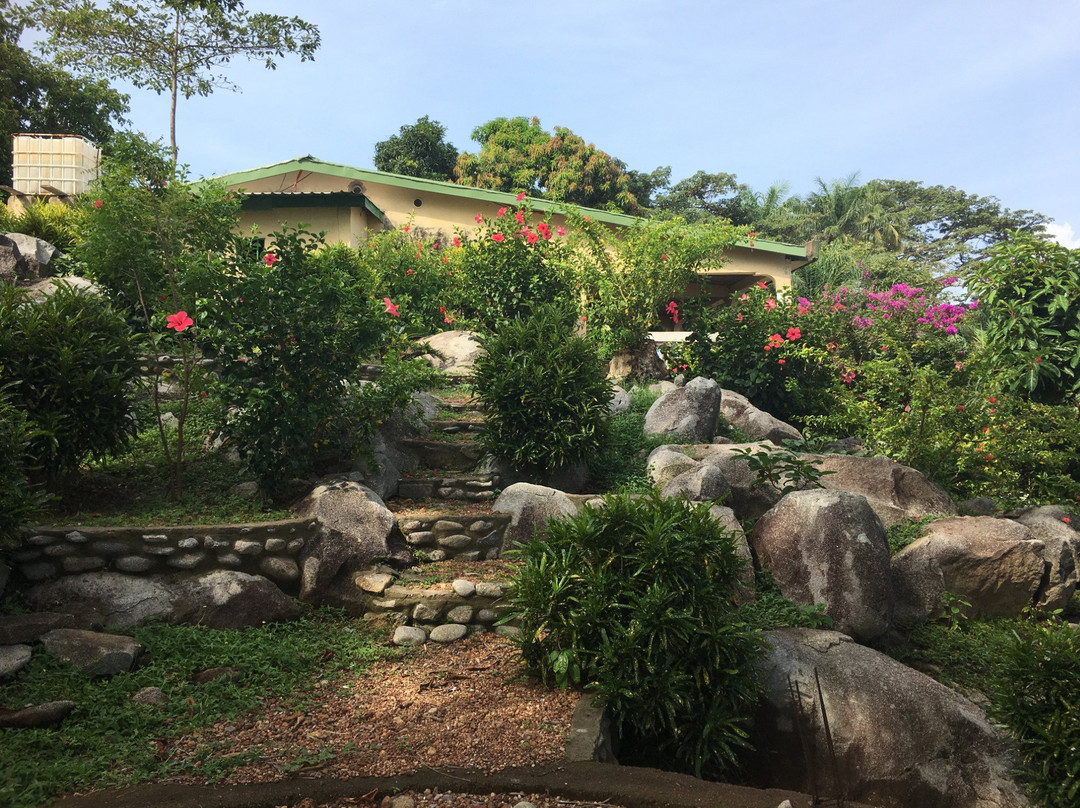 La Villa Elijah - Guinea Fishing Camp主图