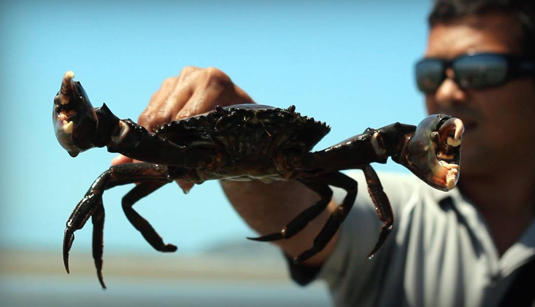 Walkabout Cultural Adventures-Daintree必去景点