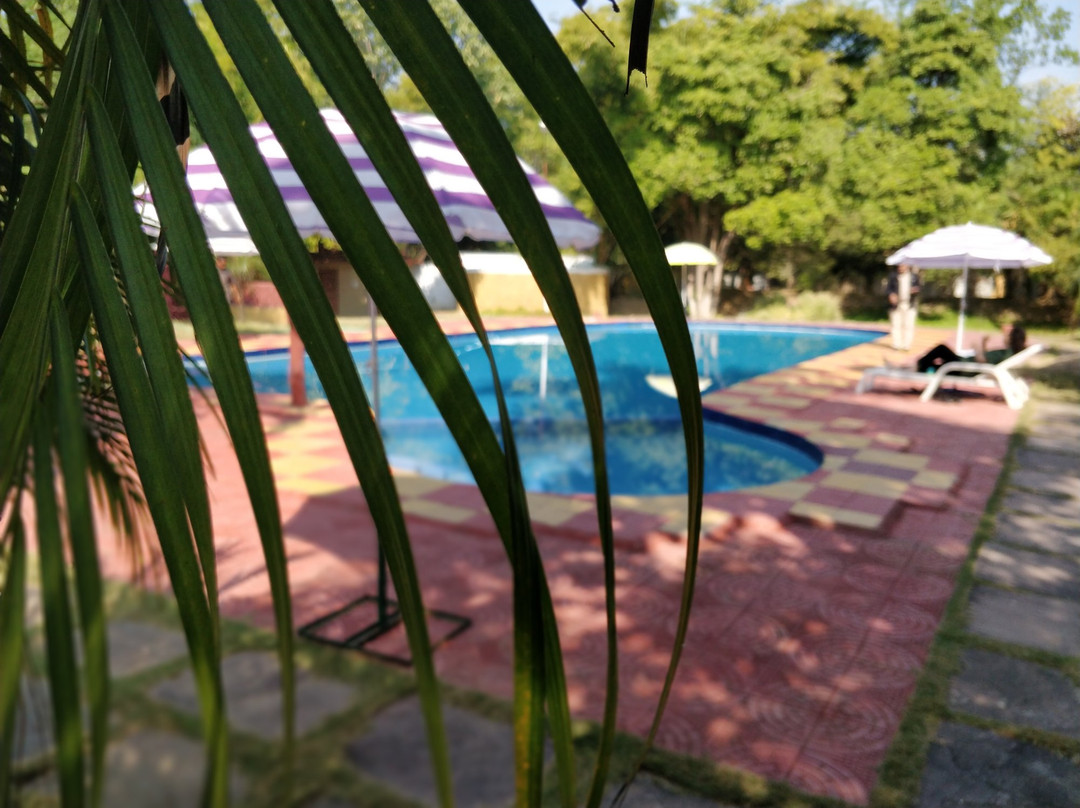 Jungle King Resort主图