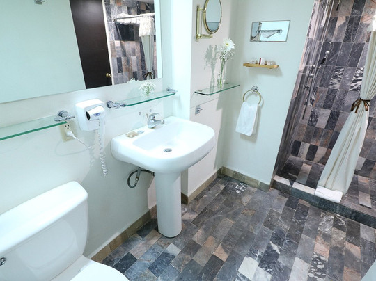 Mision Monterrey Centro Historico