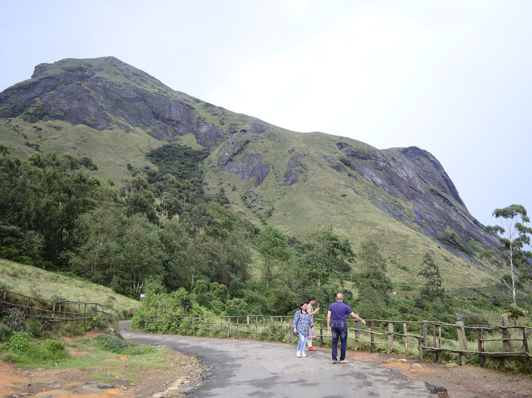 Anamudi Peak景点图片