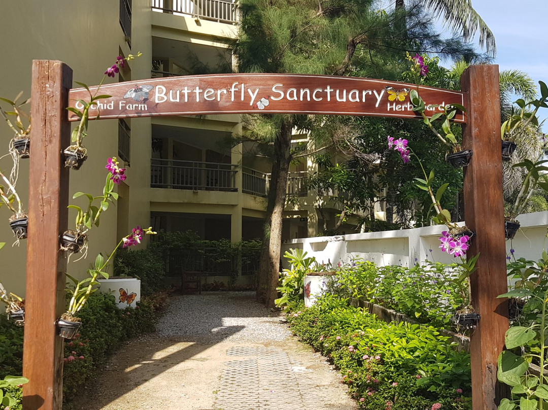 Merlin Butterfly Sanctuary-芭东海滩必去景点