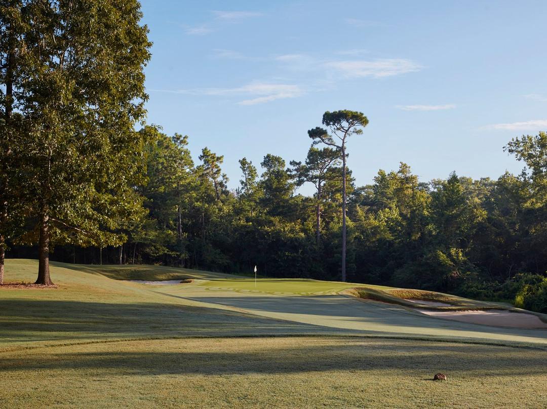 Grand Bear Golf Course景点图片
