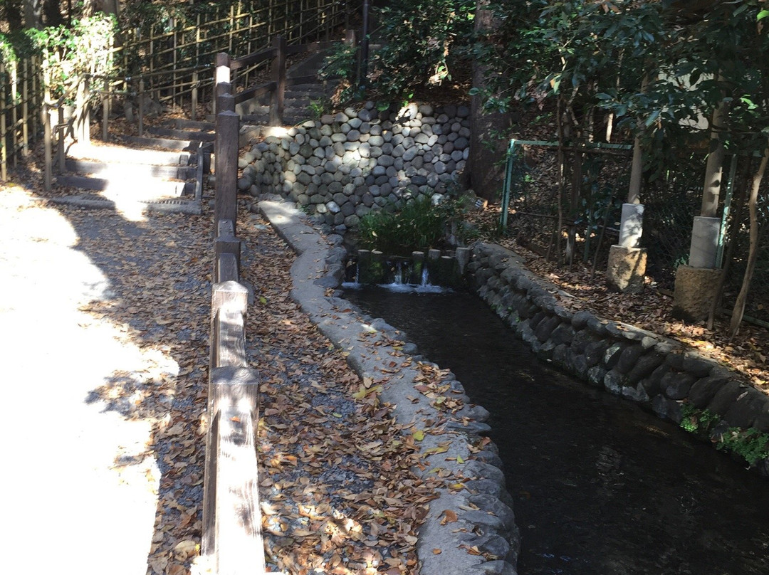 Otaka no Michi Spring Park-国分寺市必去景点