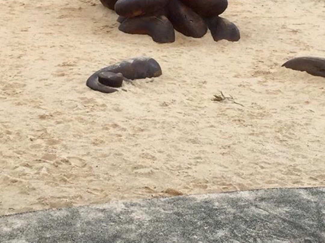 Angel Sea Garden-安格尔西岛必去景点