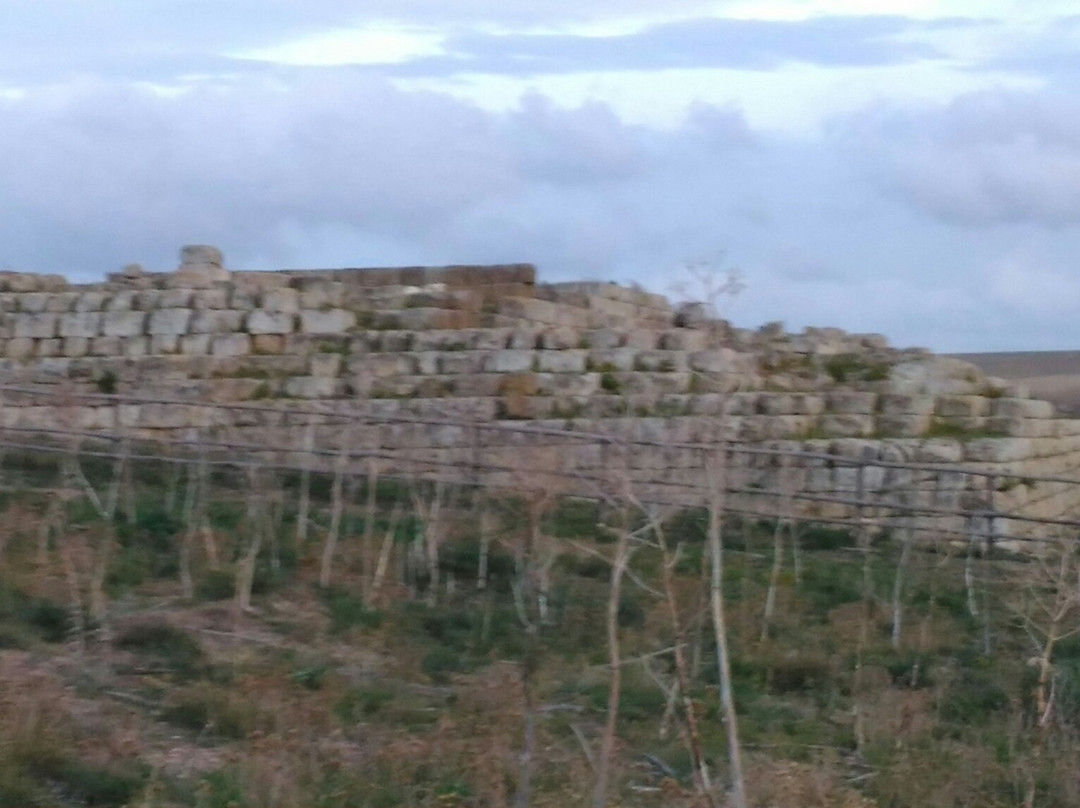 Ara della Regina