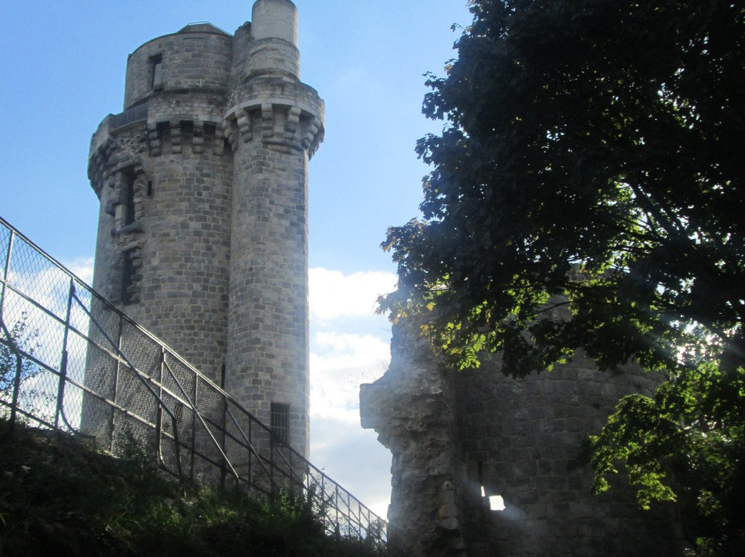 Château de Montlhéry景点图片