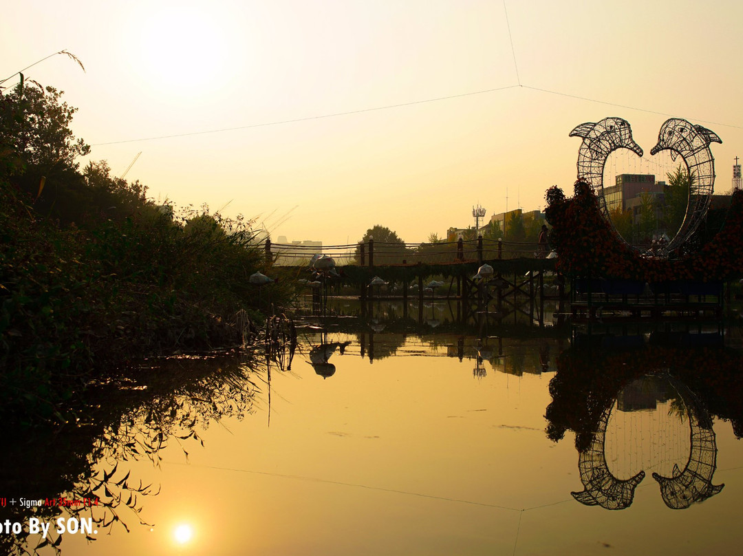 Yurim Park-大田必去景点