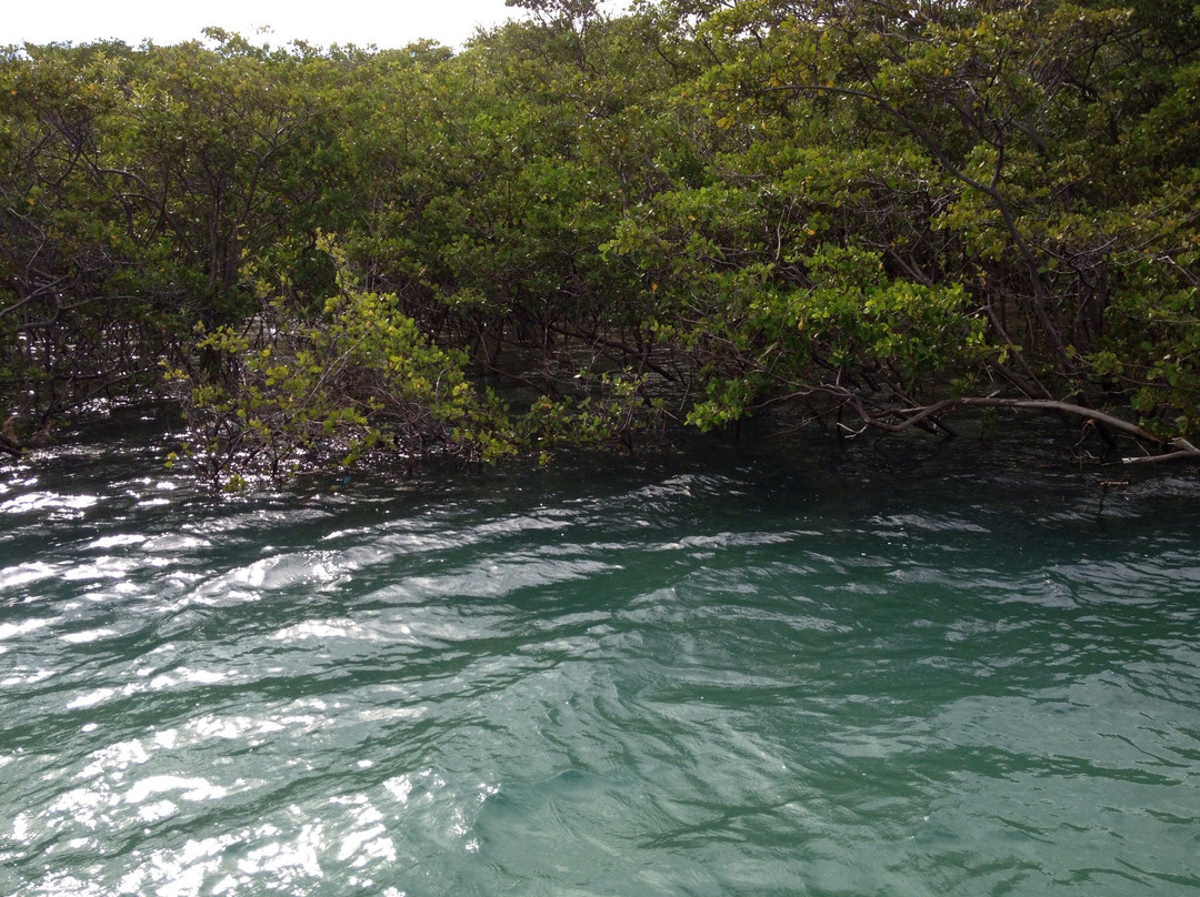 Choro River-Cascavel必去景点