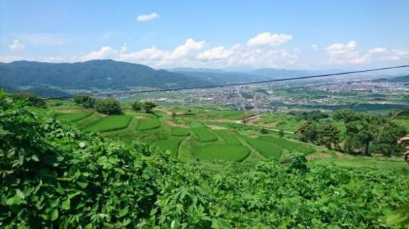 Obasute tanada (Terraced rice fields)-千曲市必去景点