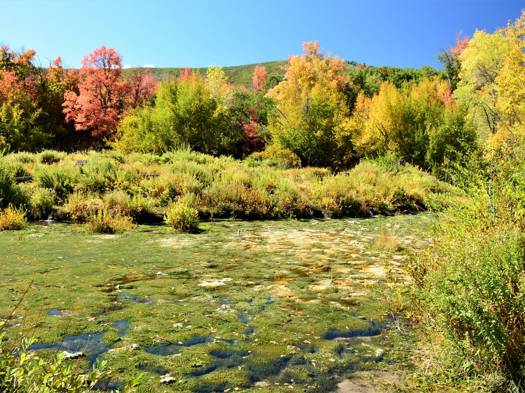 Cascade Springs-Charleston必去景点