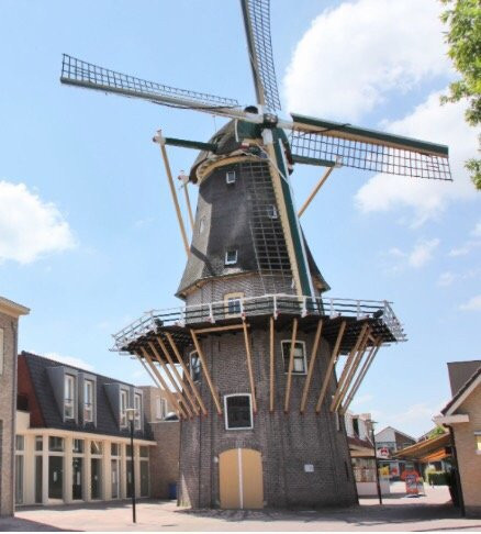 Mill the Lion景点图片
