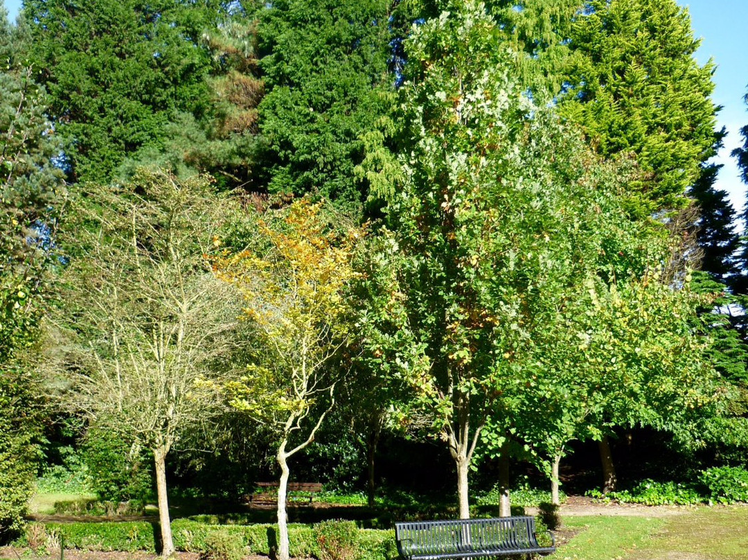 Platt Fields Park-曼彻斯特必去景点