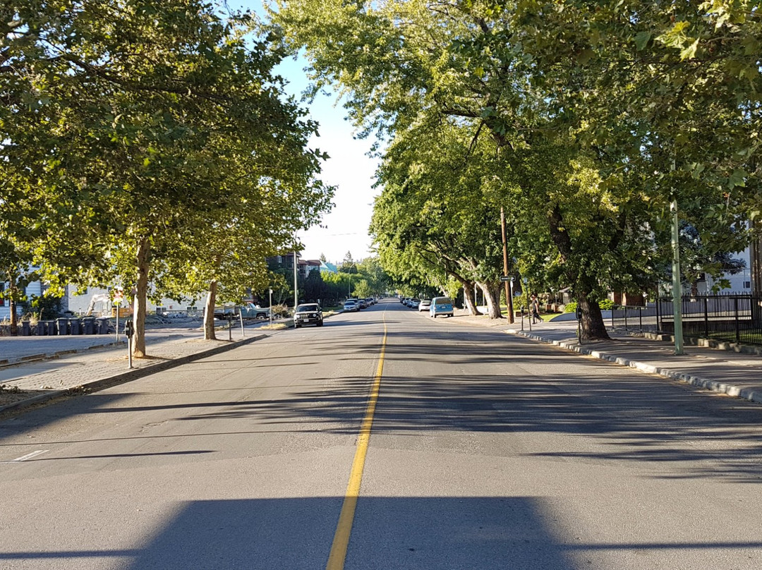 Kelowna Visitor Centre景点图片