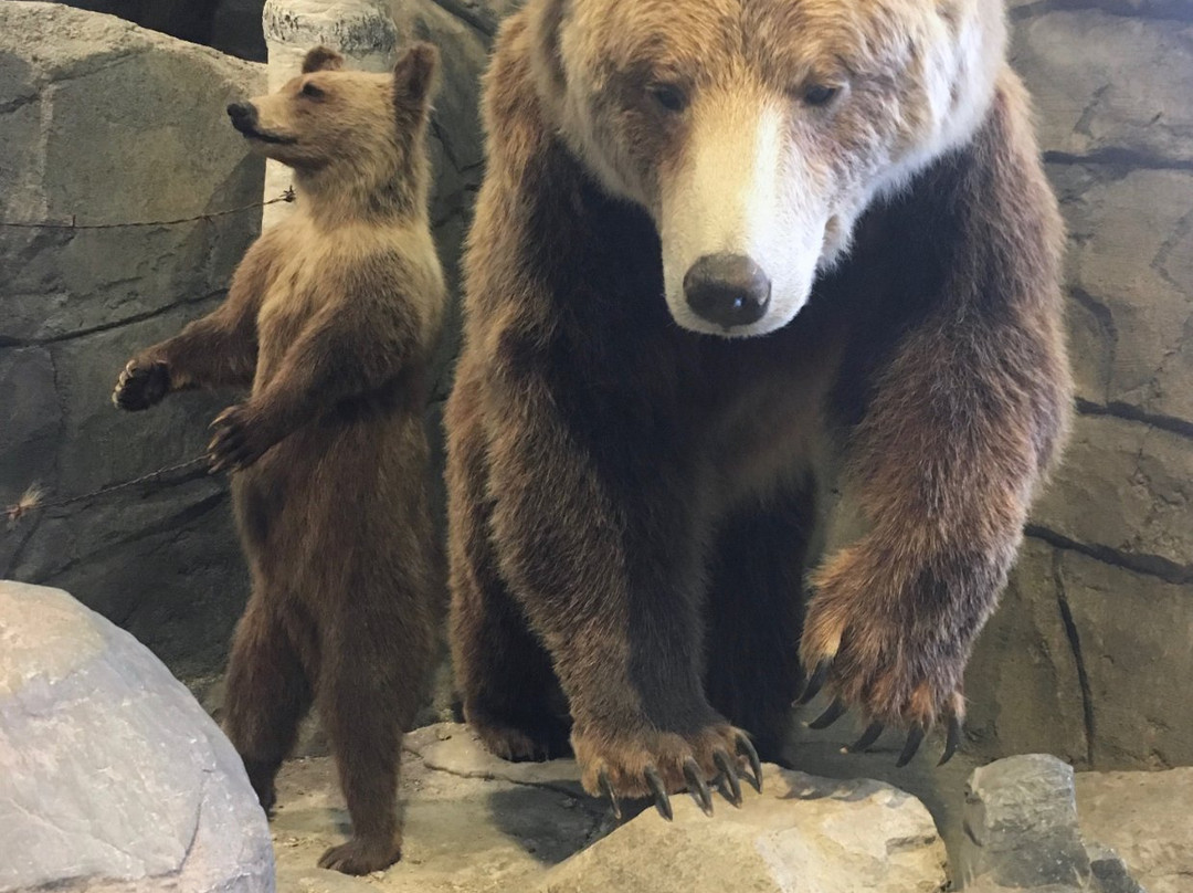 MontanaWILD-赫勒拿必去景点