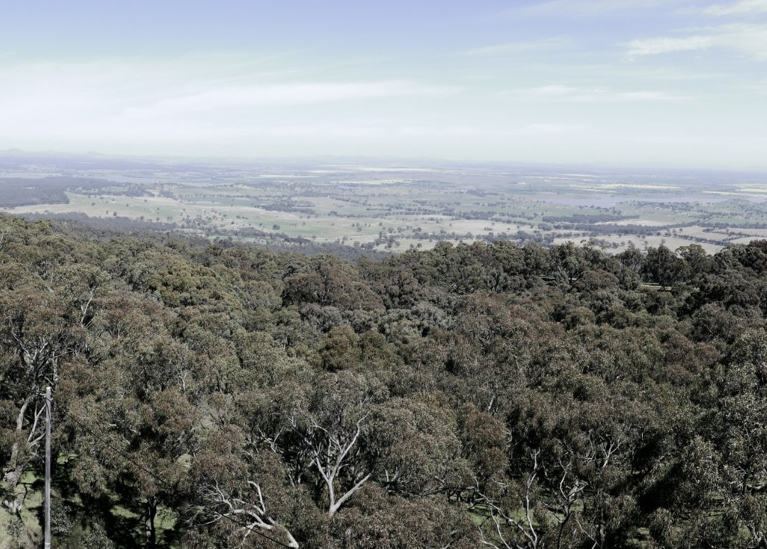 Maldon旅游攻略图片