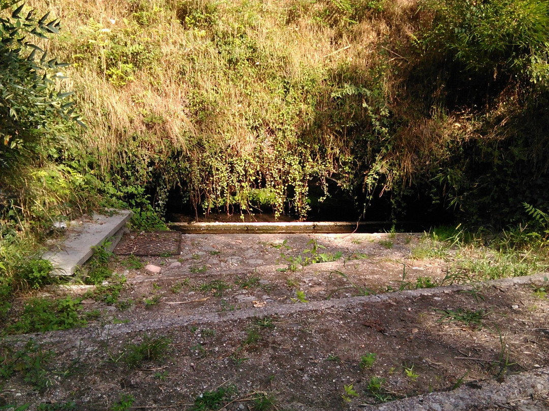 Fonte di Manigunda景点图片
