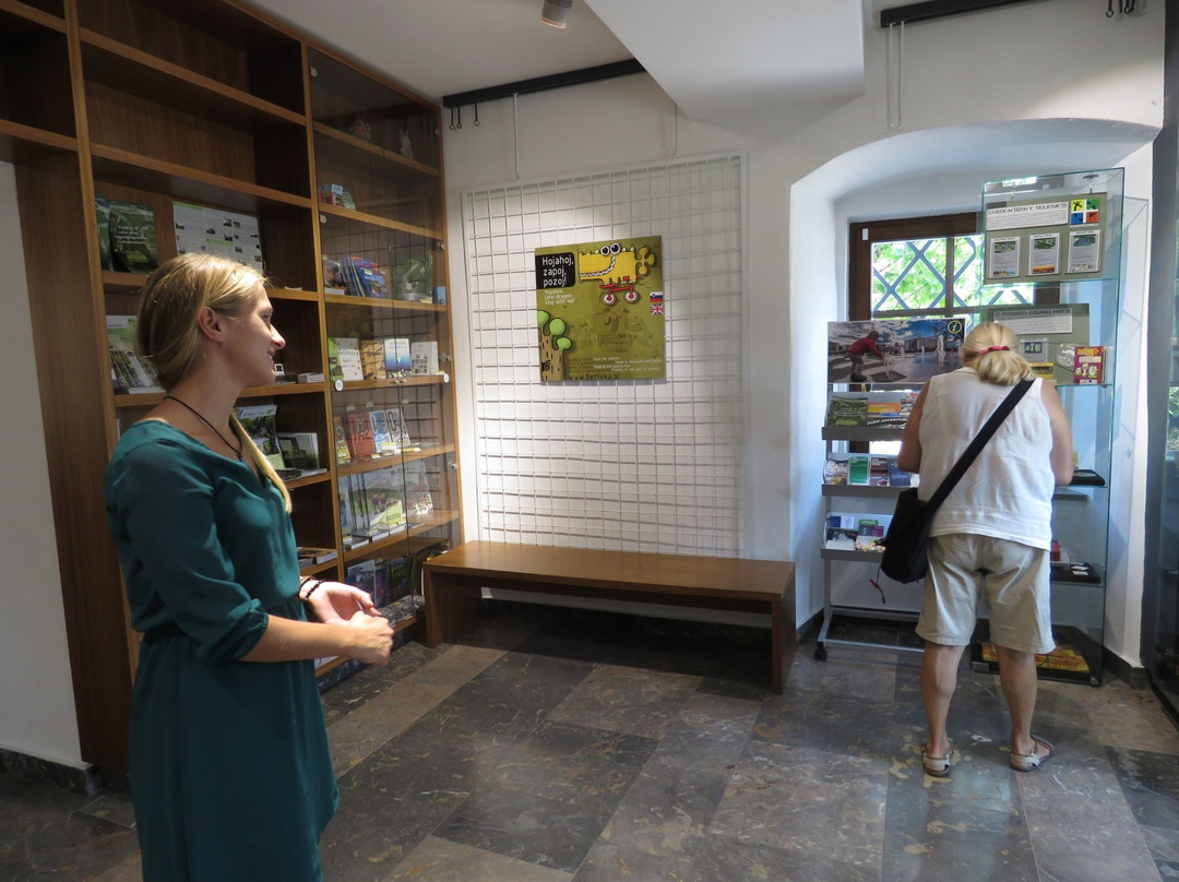 Tourist Information Center Velenje景点图片