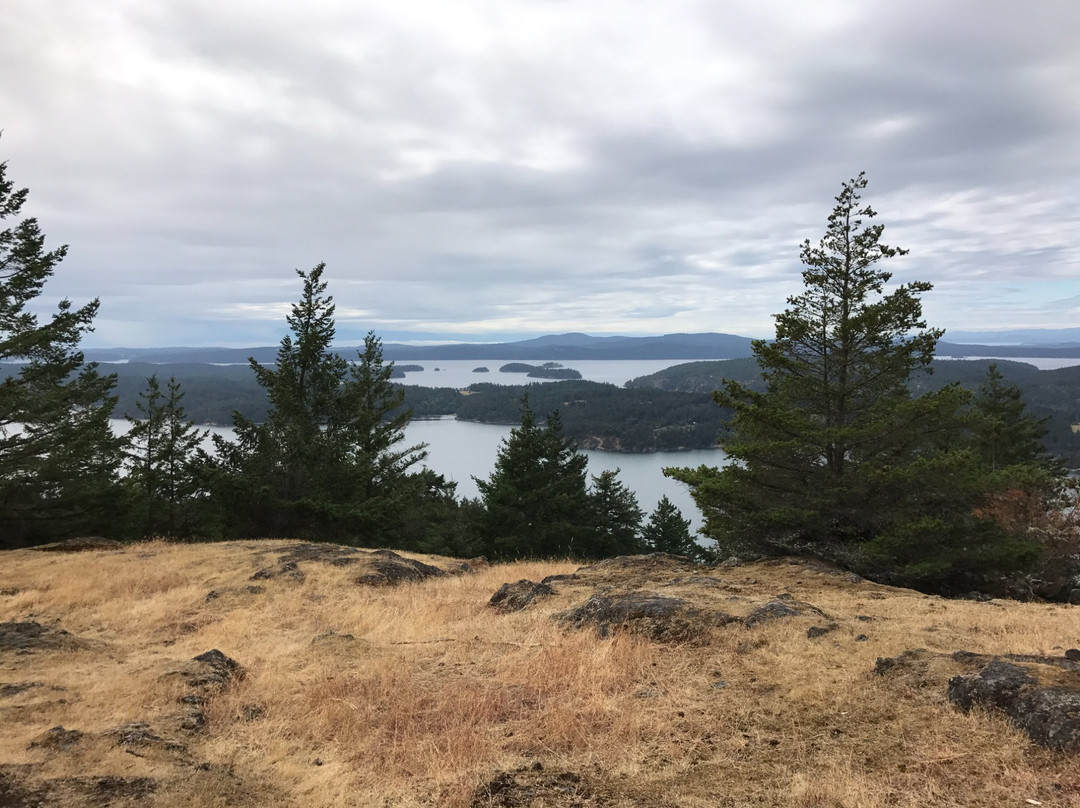 Turtleback Mountain景点图片