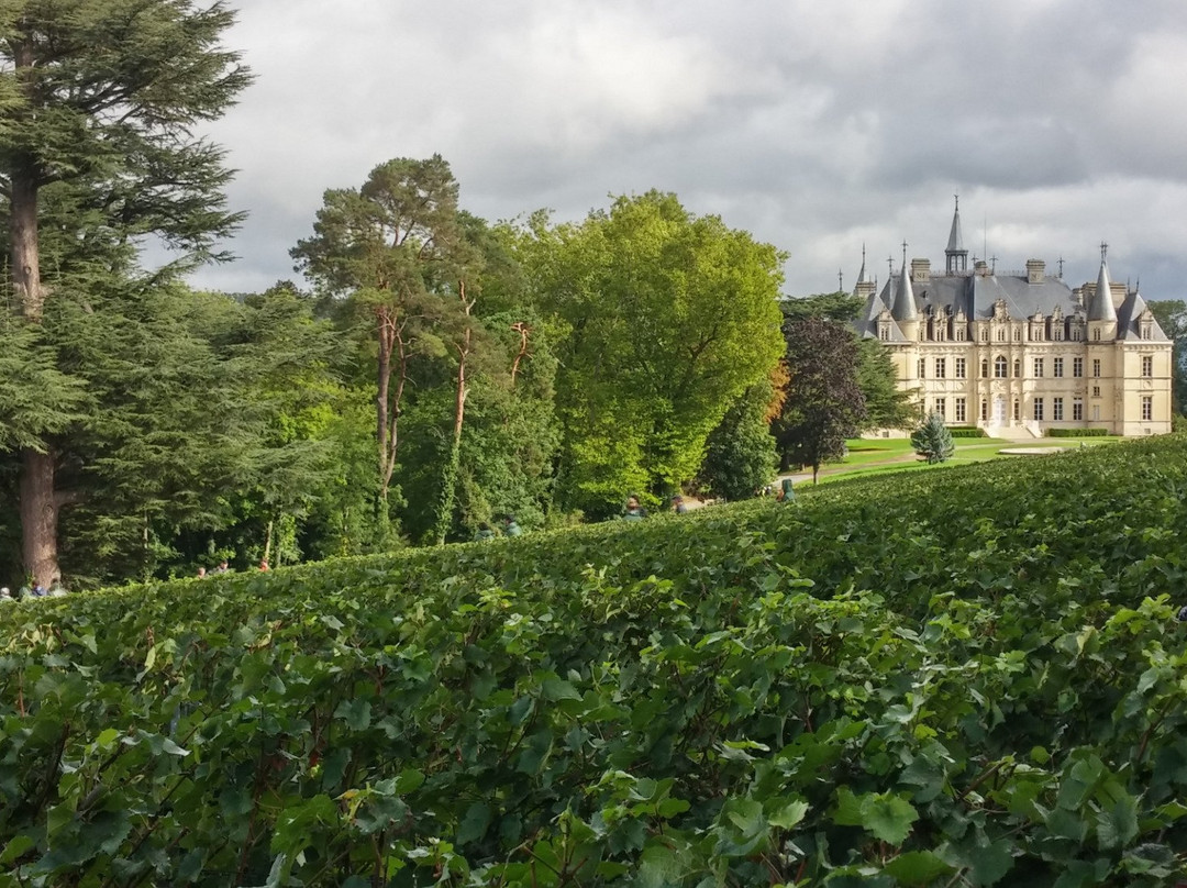 Champagne Chateau de Boursault景点图片