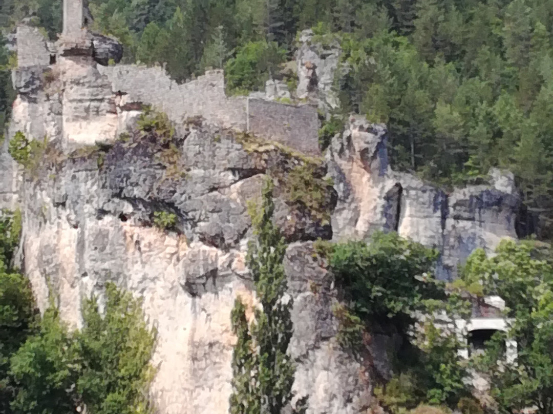 Gorges du Tarn Causses旅游攻略图片