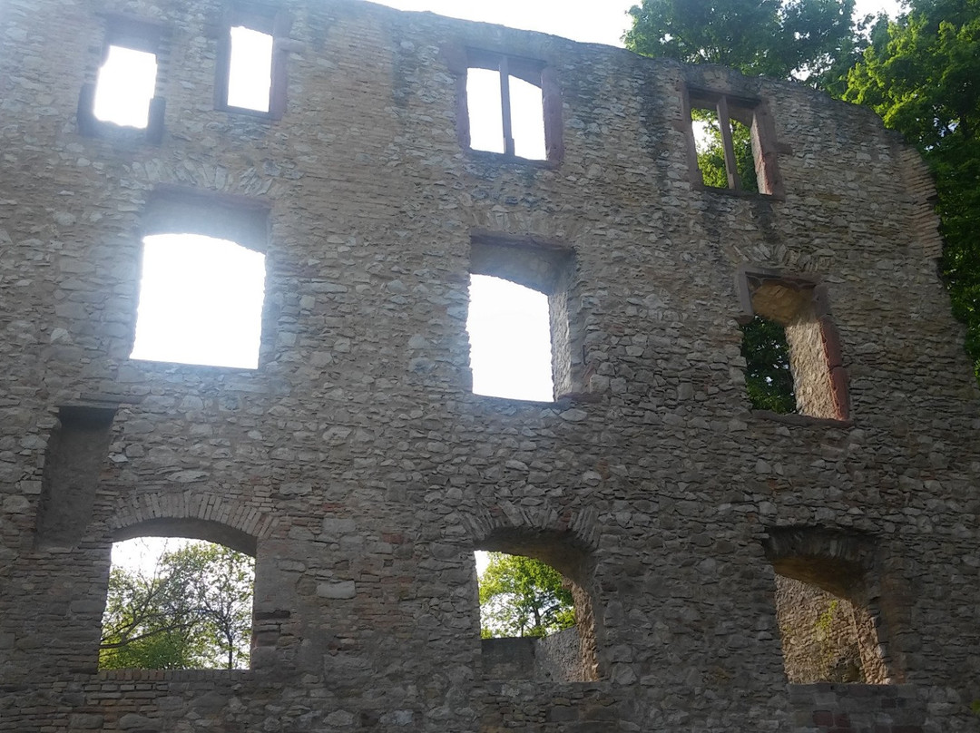 Burg Landskron景点图片