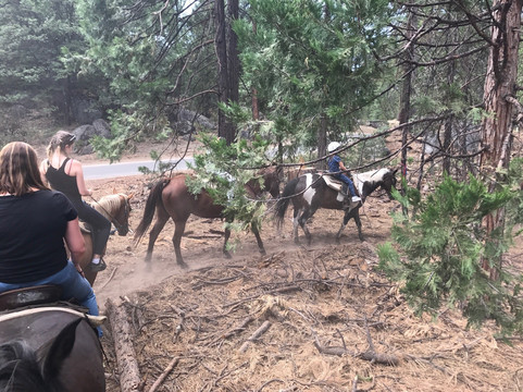 Pot A Gold Adventures-凤凰城必去景点