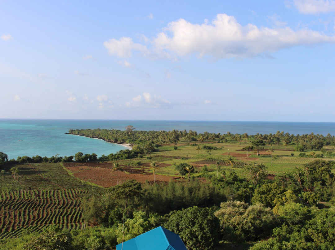 奔巴岛旅游攻略图片