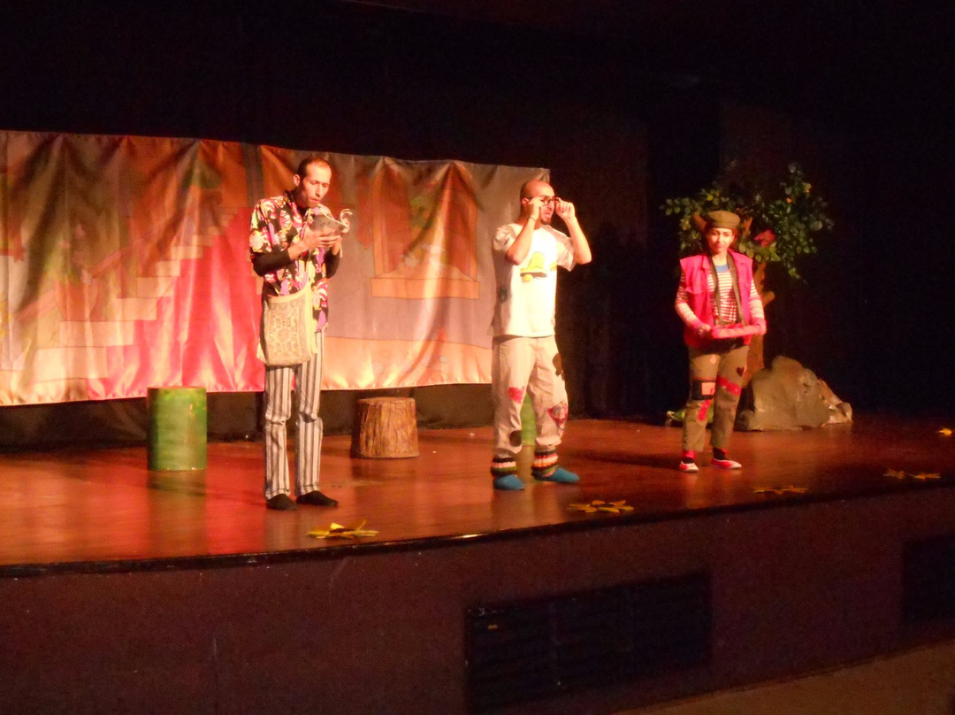 Can Tiyatrosu-安卡拉必去景点