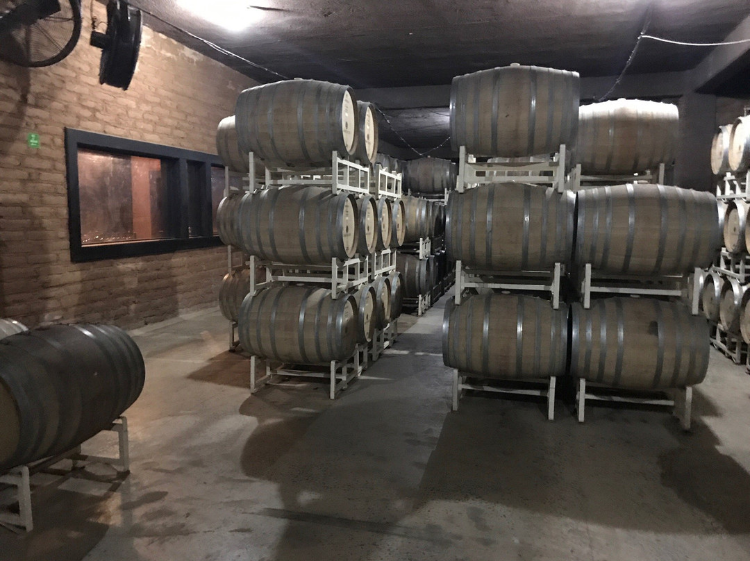 Xplorabaja-罗萨里多必去景点